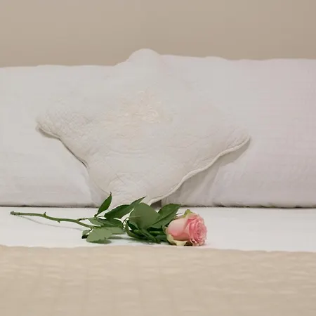 公寓 Quartier Latin 3 To Choose!